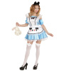 Alice in wonderland kostuum dames
