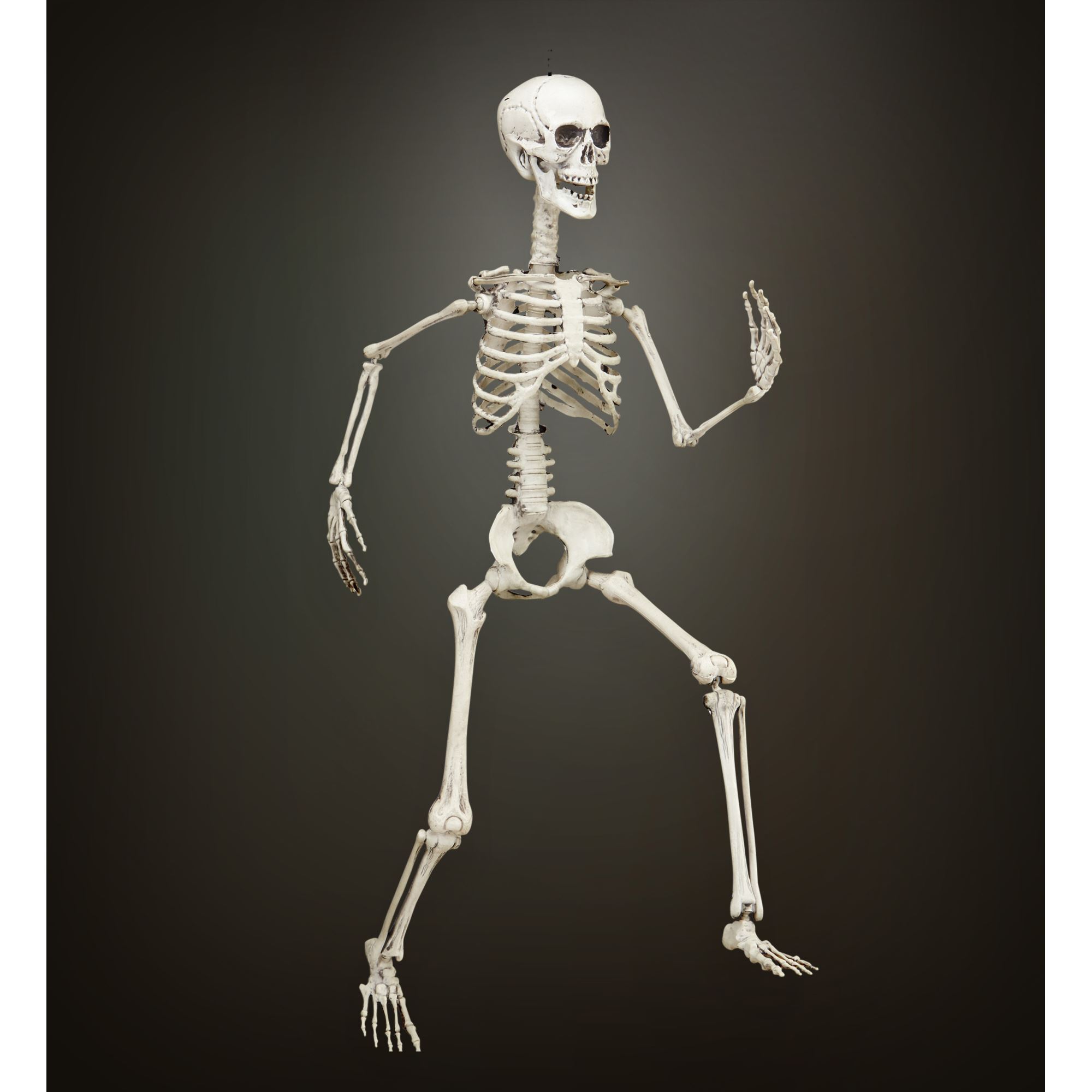 beweegbaar skelet, 90cm