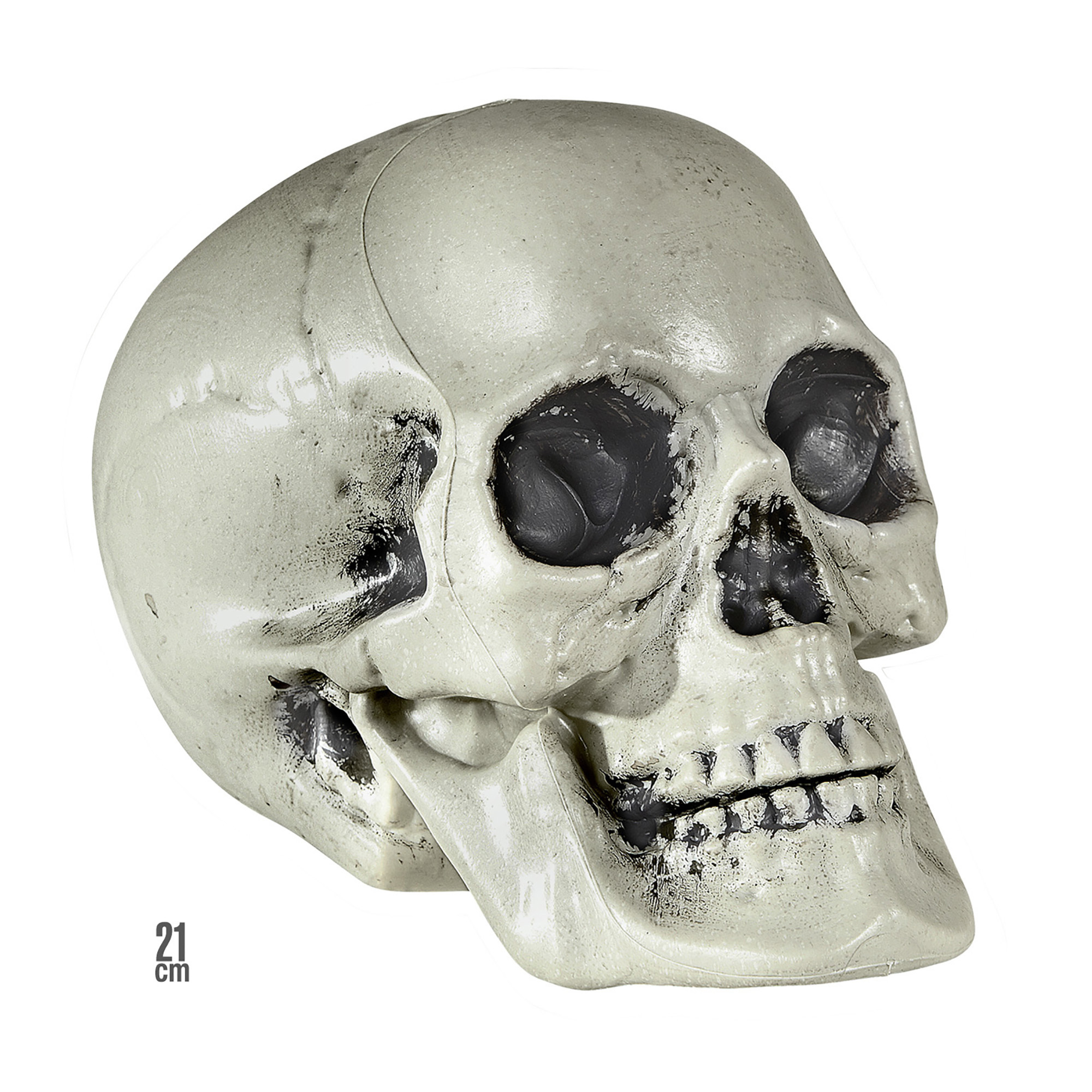 schedel van pvc 21cm