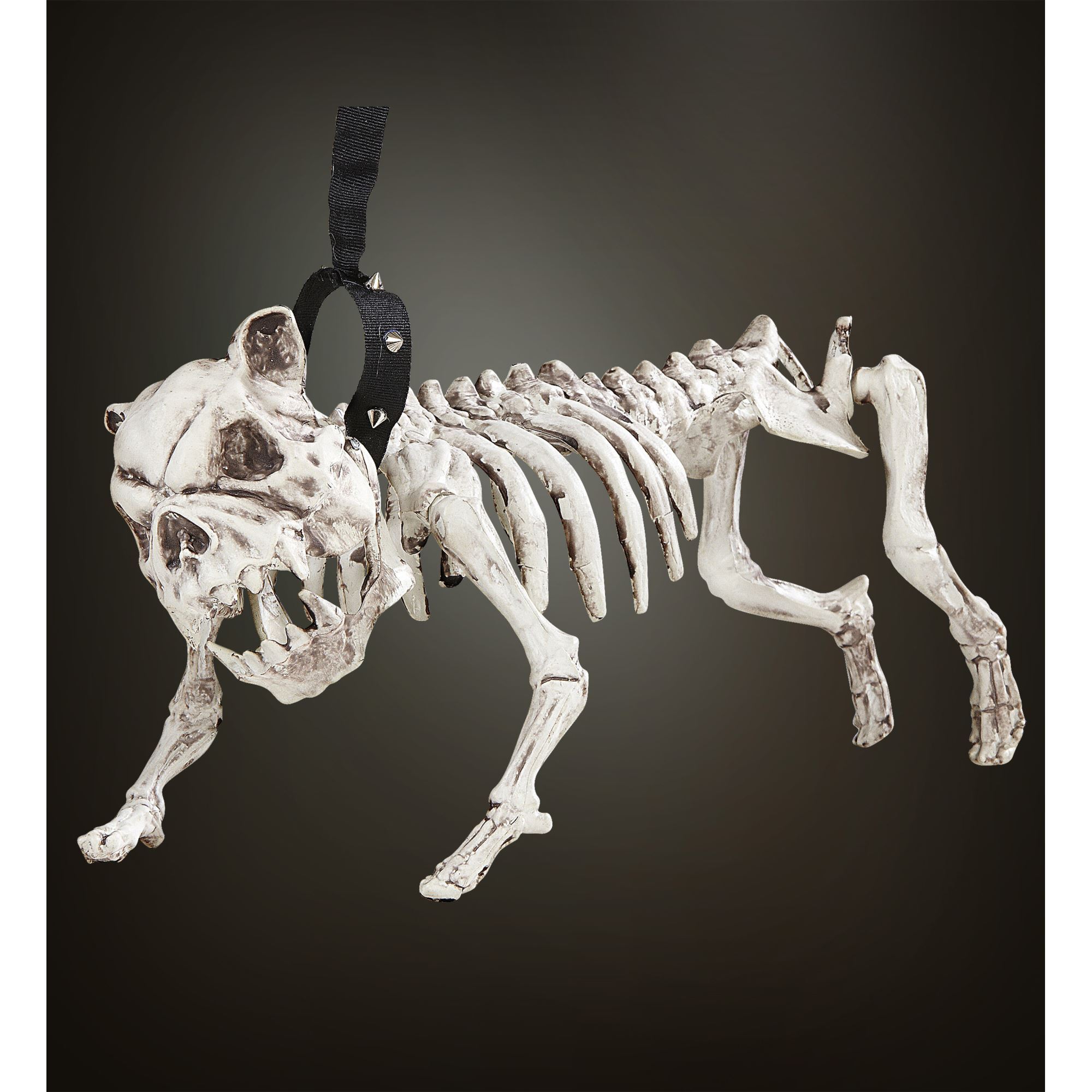skelet hond met riem, 45cm
