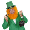 foto 4 hoge hoed st patricks dag