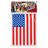 foto 2 vlaggenlijn 6mtr, usa