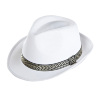 foto 1 witte fedora panama