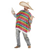 foto 4 mexicaanse poncho volwassen caramba