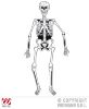 skelet decoratie, 140cm