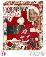 profesionele  kerstvrouw outfit miss santa