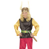foto 4 Astrix pruik  kind met snor viking blond