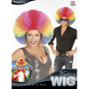 foto 2 Disco soul groovy afro pruik groot  regenboog multicolour