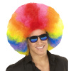 foto 3 Disco soul groovy afro pruik groot  regenboog multicolour