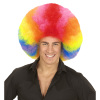 foto 4 Disco soul groovy afro pruik groot  regenboog multicolour