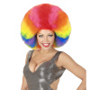 foto 5 Disco soul groovy afro pruik groot  regenboog multicolour