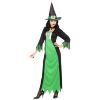 foto 4 Groene heksenjurk the green witch volwassen