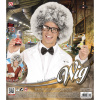 foto 2 Nutty professor wetenschapper pruik grijs
