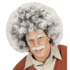 foto 3 Nutty professor wetenschapper pruik grijs