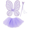 Stralende magische fee set meisje magic fairy
