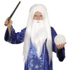 Tovenaars pruik met baard the wizzard kind tovenaar