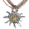 foto 1 Oktoberfest ketting strass met edelweiss