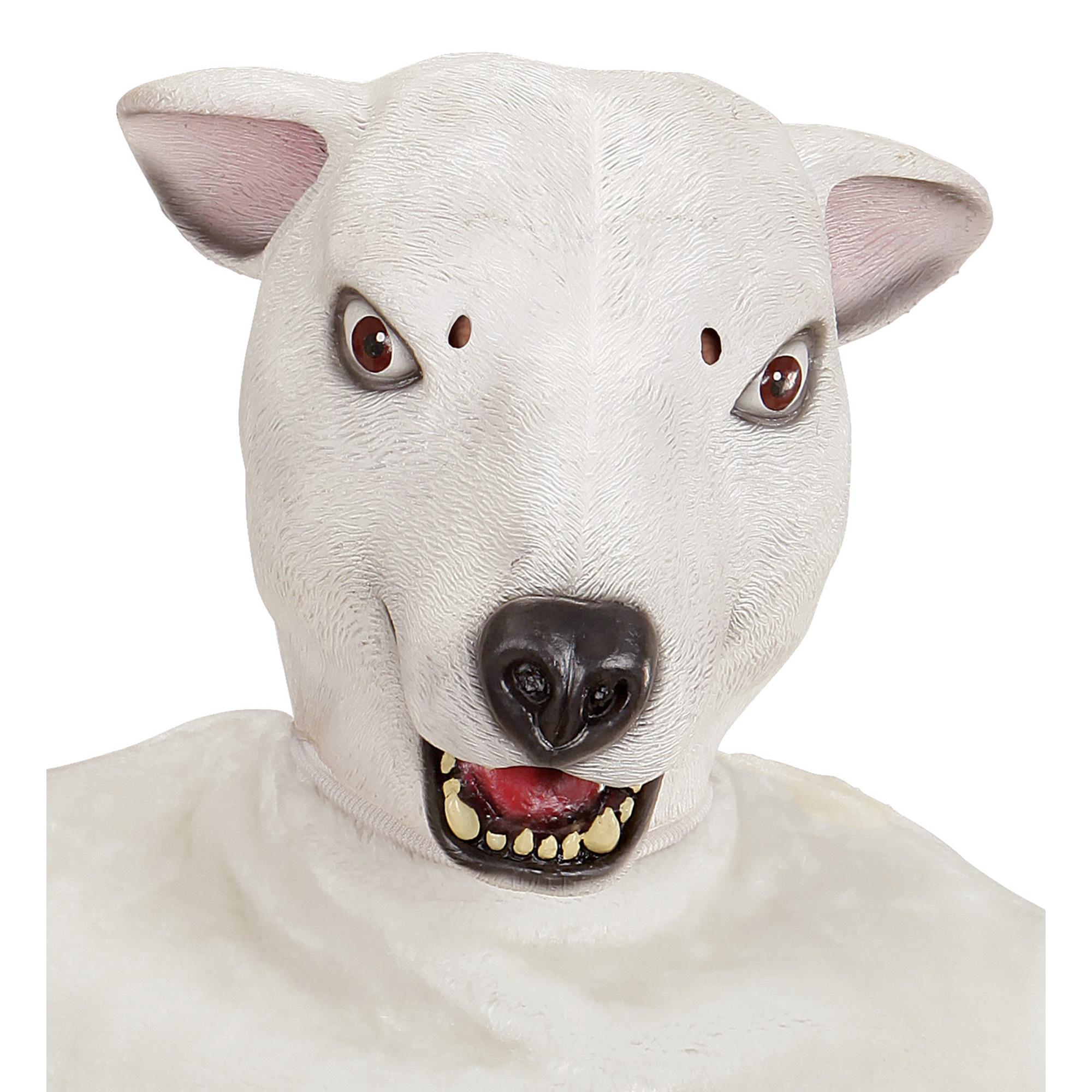 Cool ijsberen masker volwassen witte ijsbeer