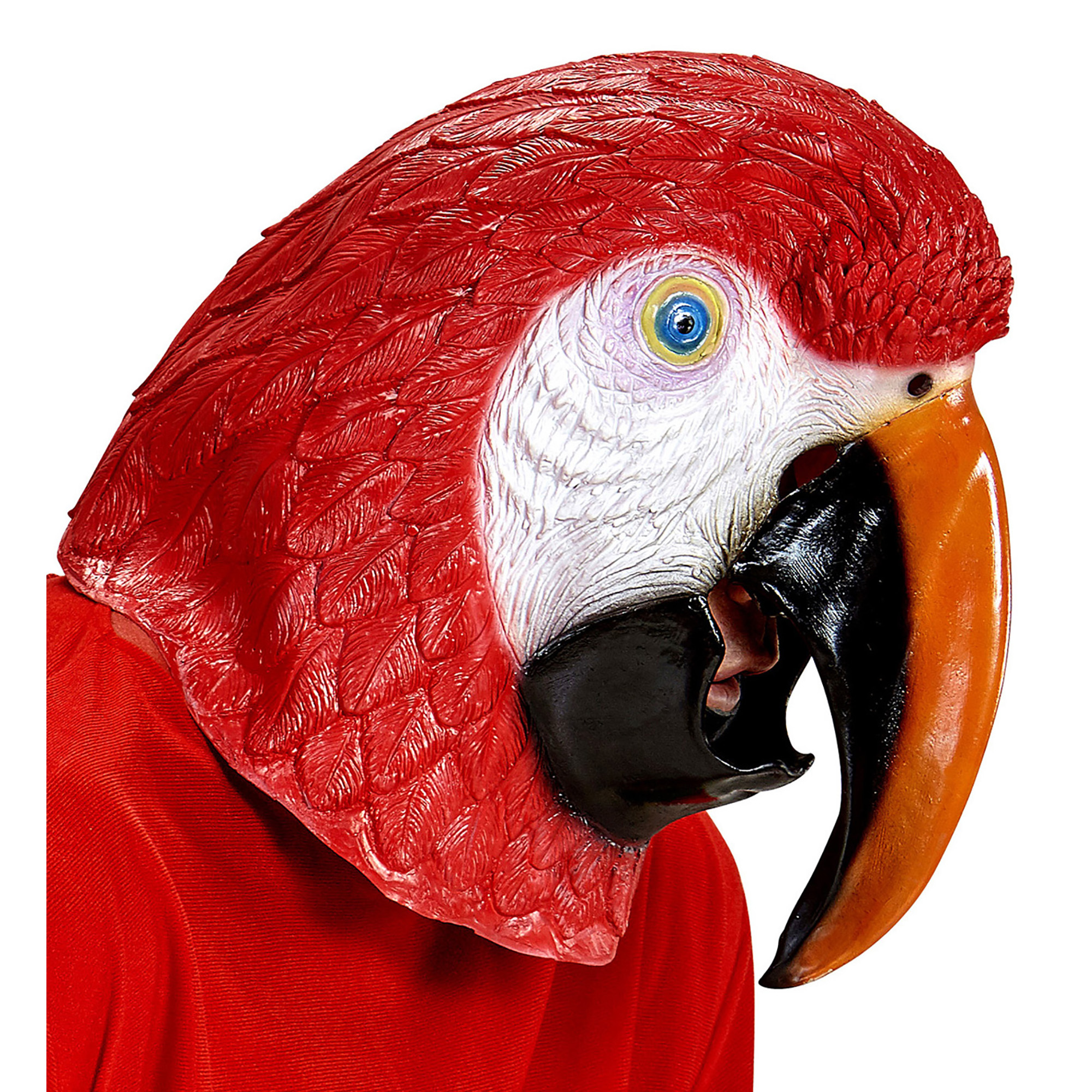 Volwassen papegaai dieren masker lorre