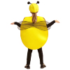 foto 3 bijen outfit kind 2-4 jaar bijenpak