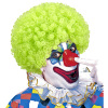 Clownspruik krullend groen volwassen 