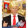 foto 2 Donald Trump the president pruik