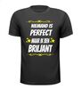 foto 1 Niemand is perfect maar ik ben briljant T-shirt
