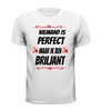 foto 13 Niemand is perfect maar ik ben briljant T-shirt
