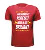 foto 7 Niemand is perfect maar ik ben briljant T-shirt