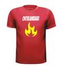 foto 7 Ontvlambaar shirt