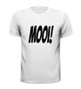 foto 13 Mooi shirt