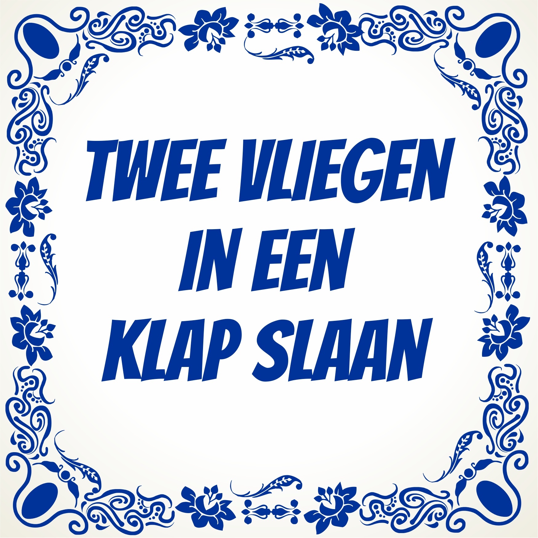 twee vliegen in een klap slaan tegeltje