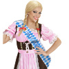 foto 3 Oktoberfest sjerp blauw wit geblokt