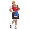foto 4 oktoberfest travestiet dirndl jurk voor mannen