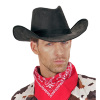 foto 2 Zwarte suede cowboyhoed Mike