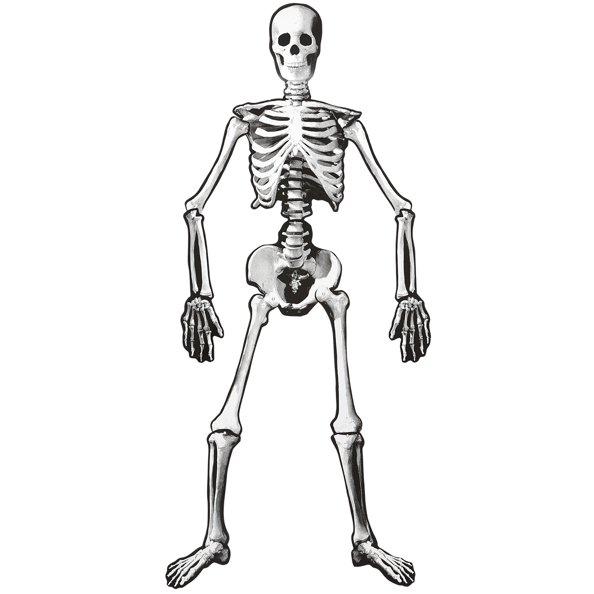skelet decoratie halloween 134 cm