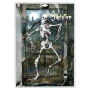 foto 2 skelet decoratie halloween 134 cm