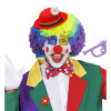 foto 3 Gezellige bolhoed rood clown met bloem