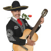 foto 4 Mariachi sombrero 50 cm speedy