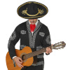 foto 5 Mariachi sombrero 50 cm speedy