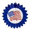 Decoratieve waaier Amerika 50 cm