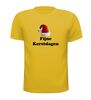 foto 15 Fijne kerstdagen t-shirt