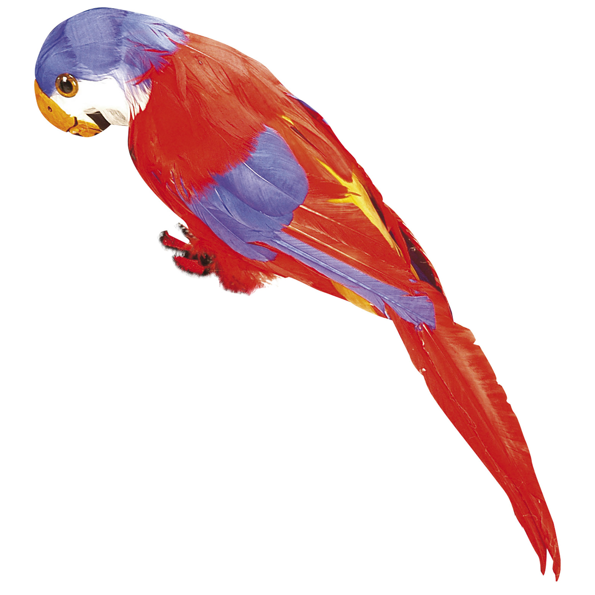Rode decoratieve papegaai 30 cm