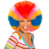 foto 3 Vrolijke kleurrijke clown pruik voor volwassenen