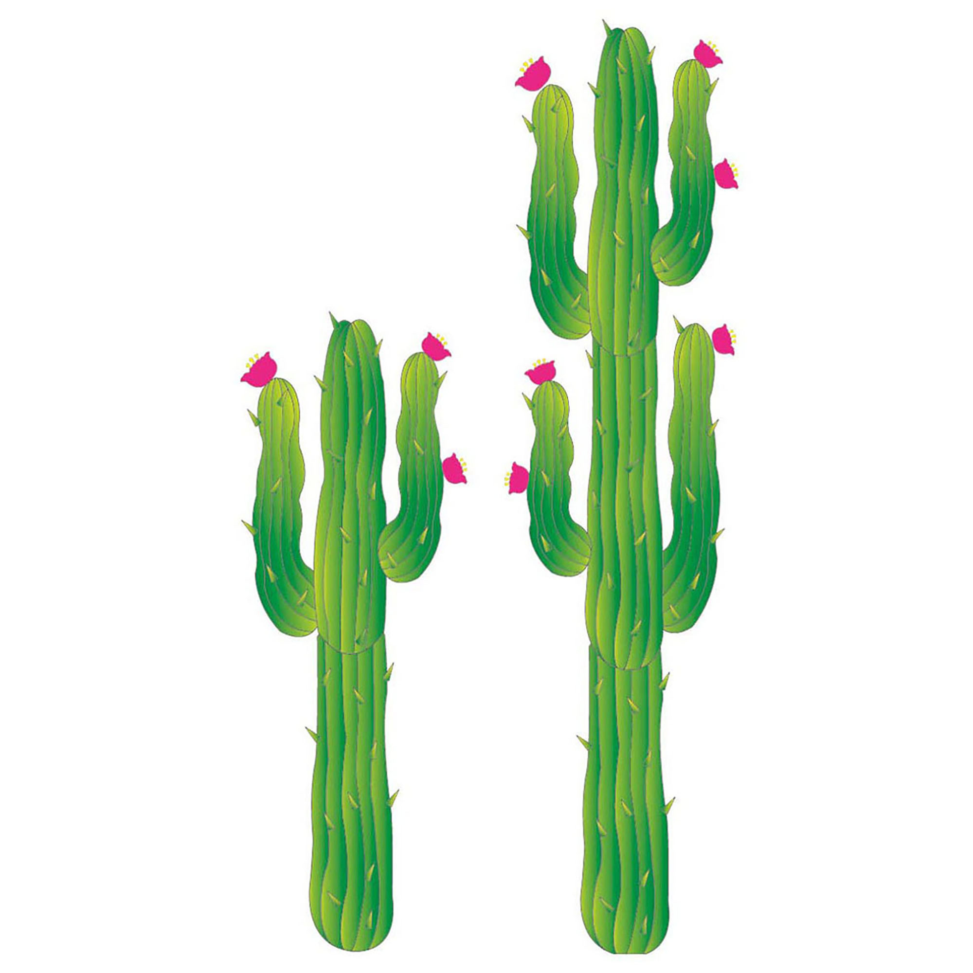 Cactus set decoratie karton