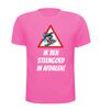 foto 11 grappig apre ski T-shirt