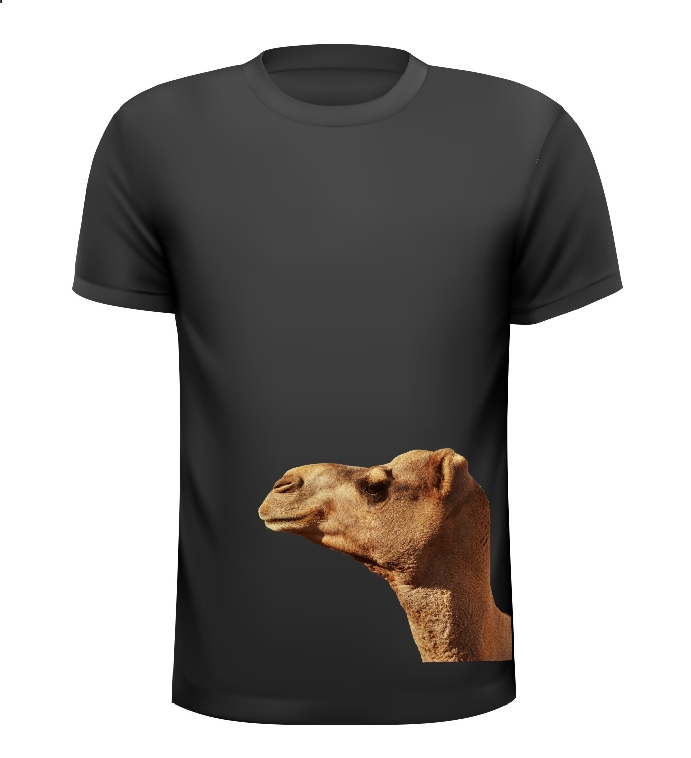 Shirt kameel leuk geinig kamelen