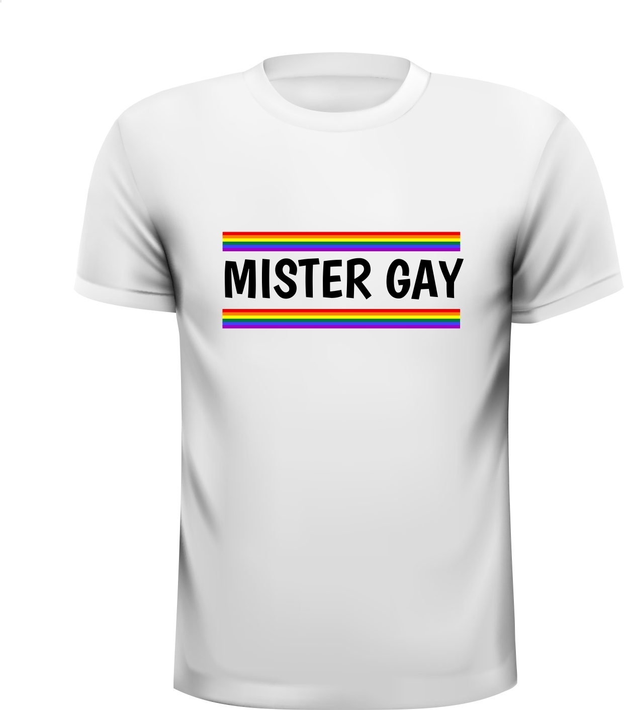 Mister gay homo shirt regenboog