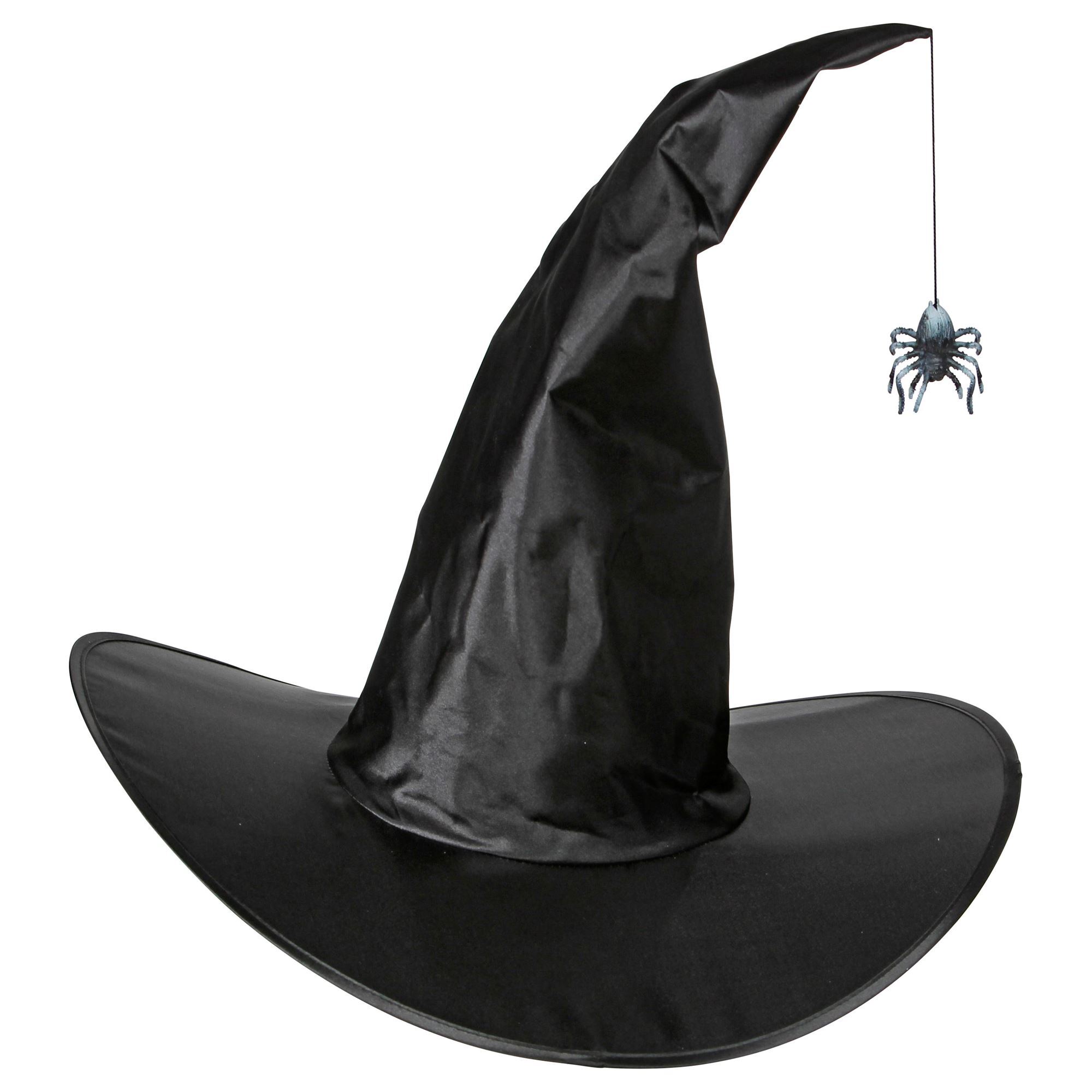 Zwarte hoed heks met daaraan hangende spin