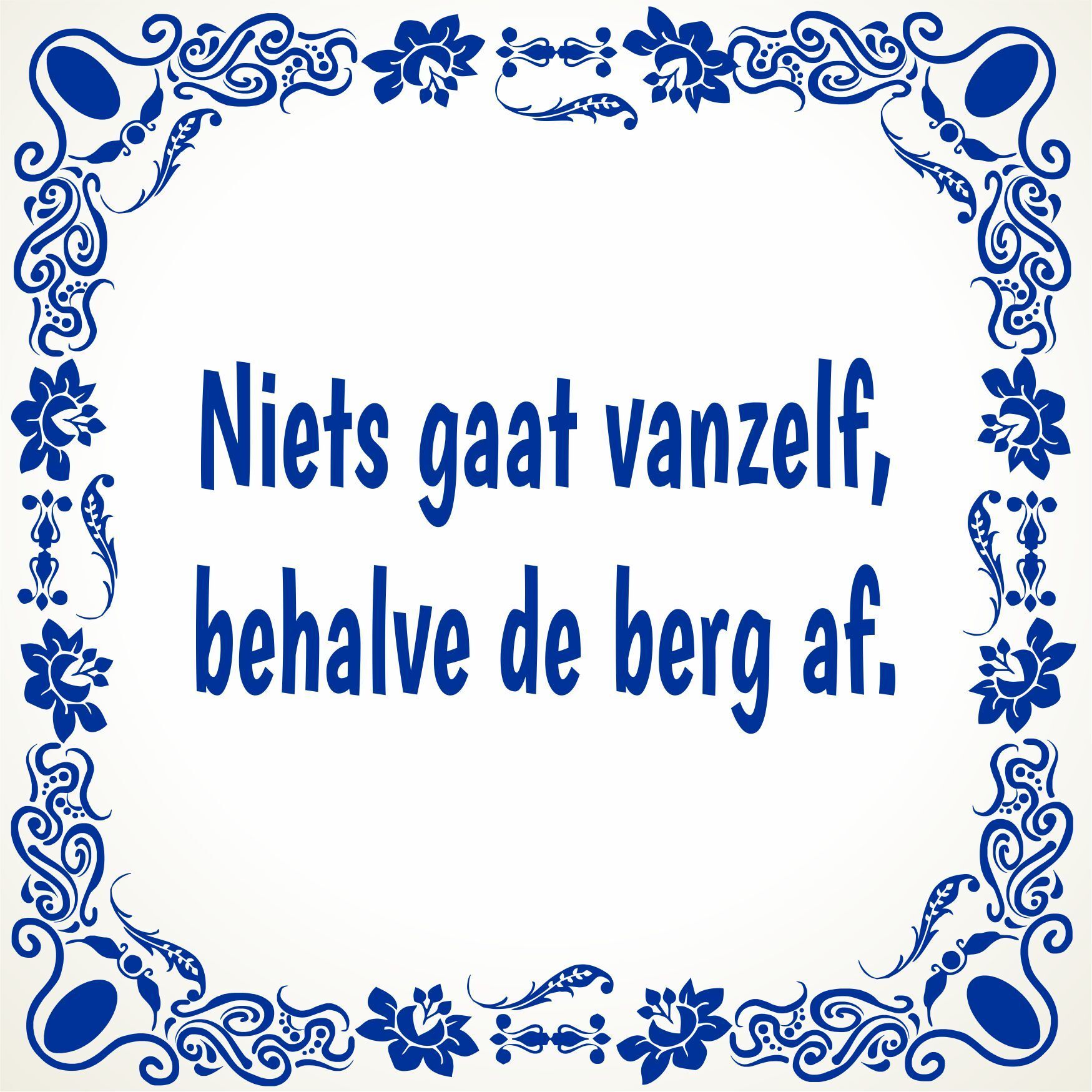 Niets gaat vanzelf, behalve de berg af tegeltje met een wijze uitspraak